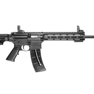 M&P15-22 Sport 22 LR
