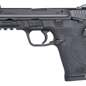 M&P380 Shield EZ 380 ACP