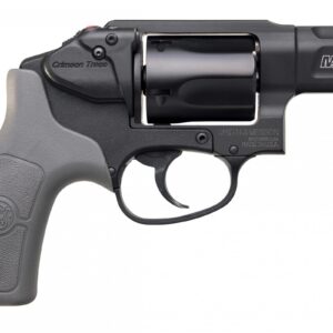 Bodyguard 38 38 Special
