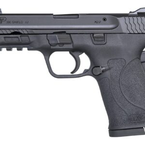 M&P380 Shield EZ 380 ACP