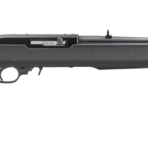 10/22 Carbine 22 LR