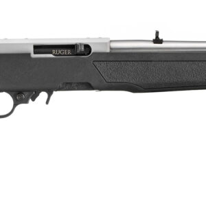 10/22 Carbine 22 LR