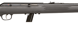 64 F 22 LR