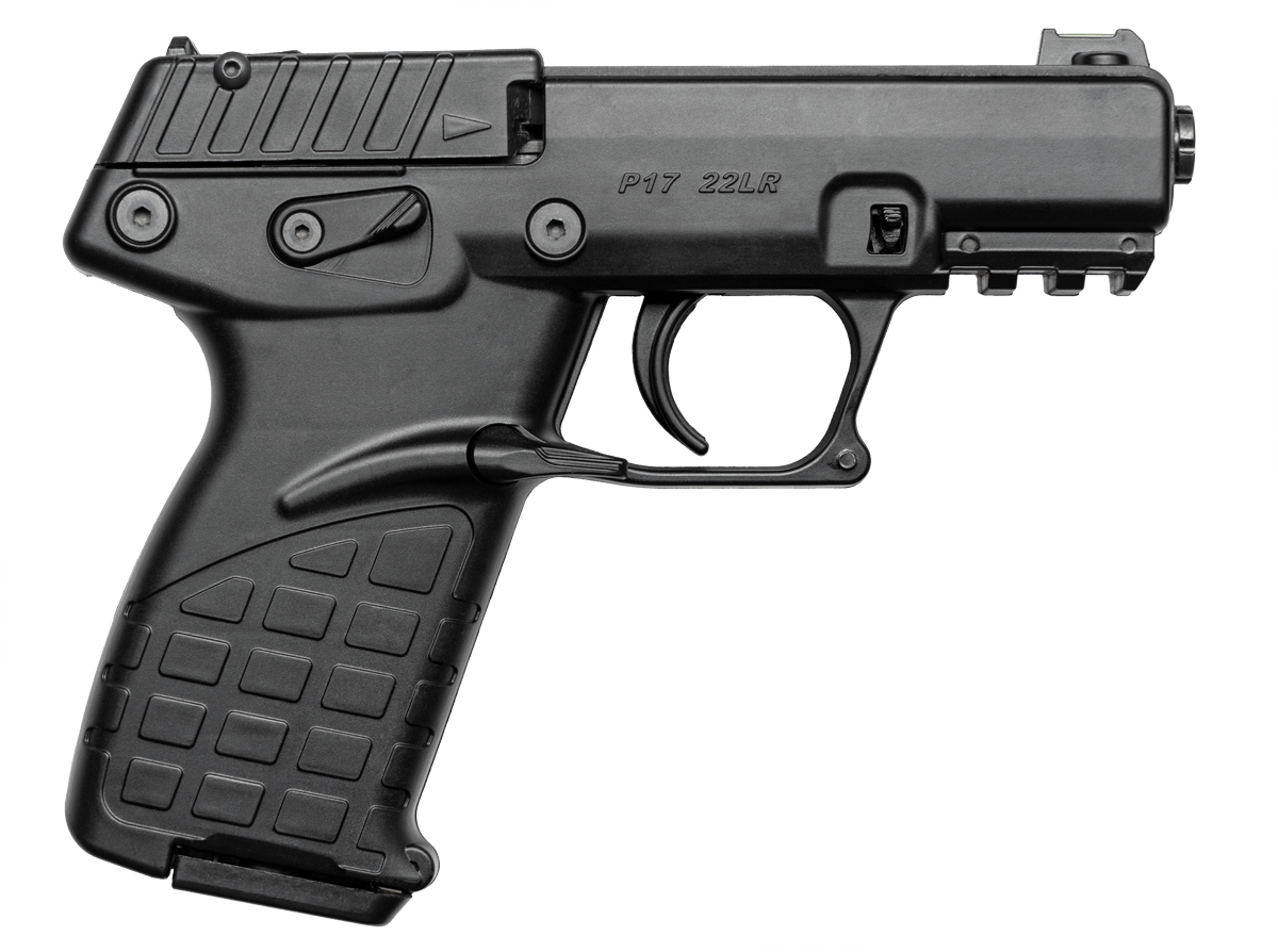 P17 22 LR