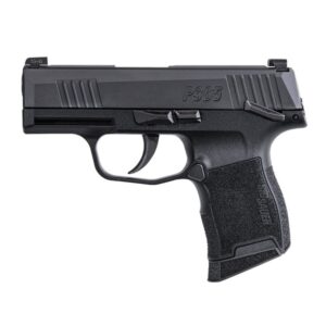 P365 380 ACP