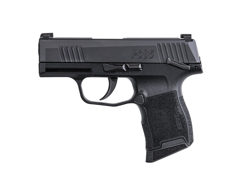 P365 380 ACP