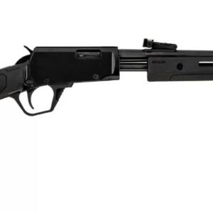 Rossi Gallery 22 LR