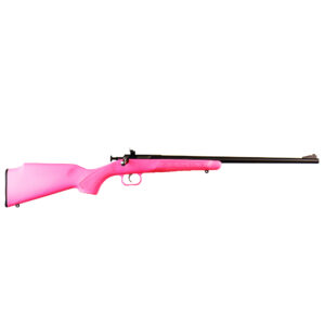 Crickett 22 LR