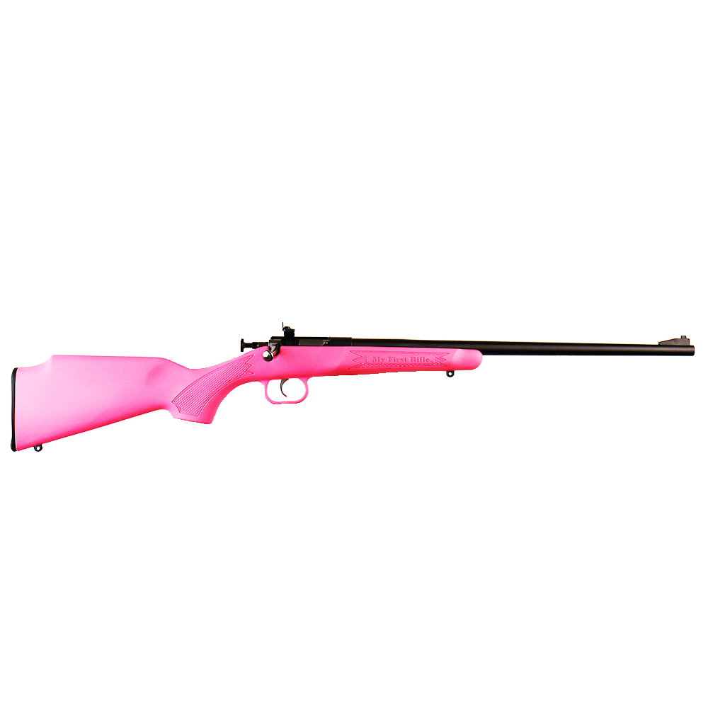Crickett 22 LR
