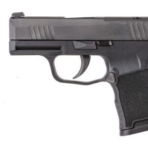 P365 380 ACP