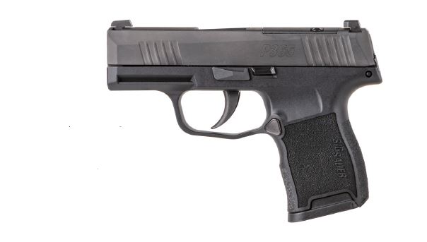 P365 380 ACP