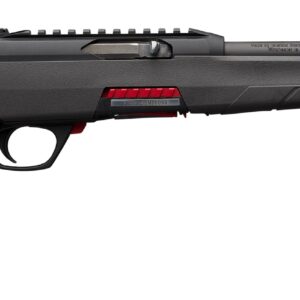 Wildcat SR 22 LR